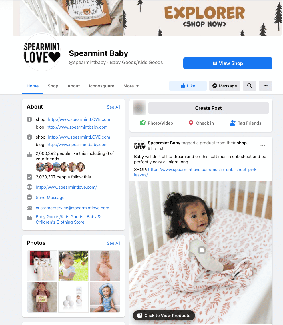 Spearmint Baby _ - Invesp